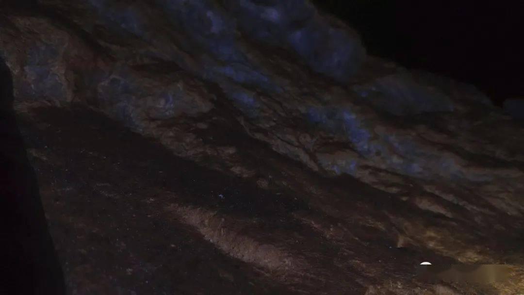 崇左税惠助力园区企业向“新”而行