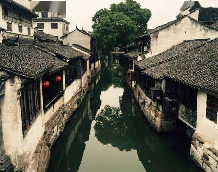 可爱吊带裙